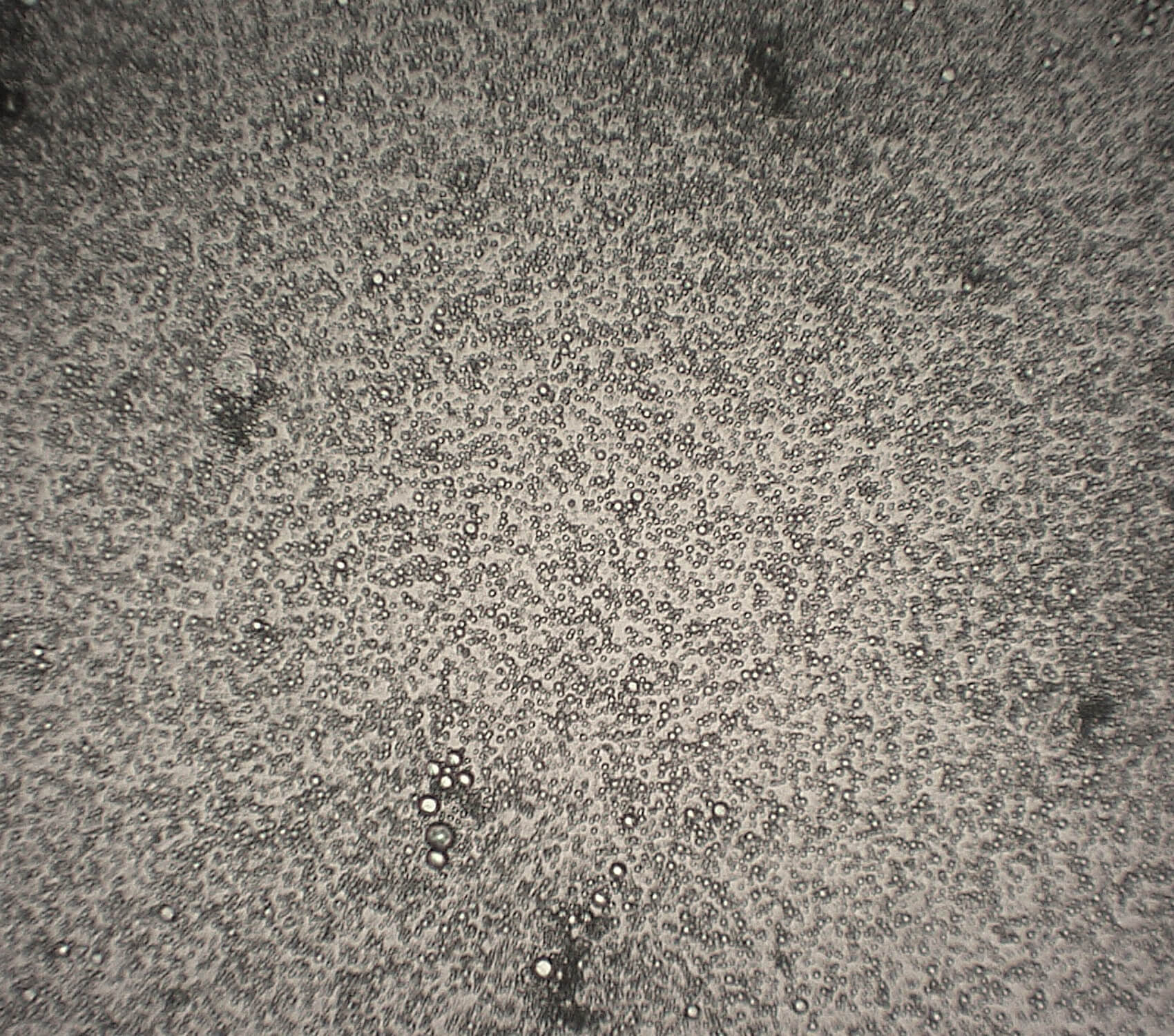 Scale-up Inchiostro microincapsulato Termocromatico