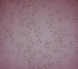 Scale-up Microencapsulated Scented Ink