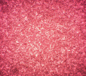 Scale-up Thermochromic Ink Liquid Crystals