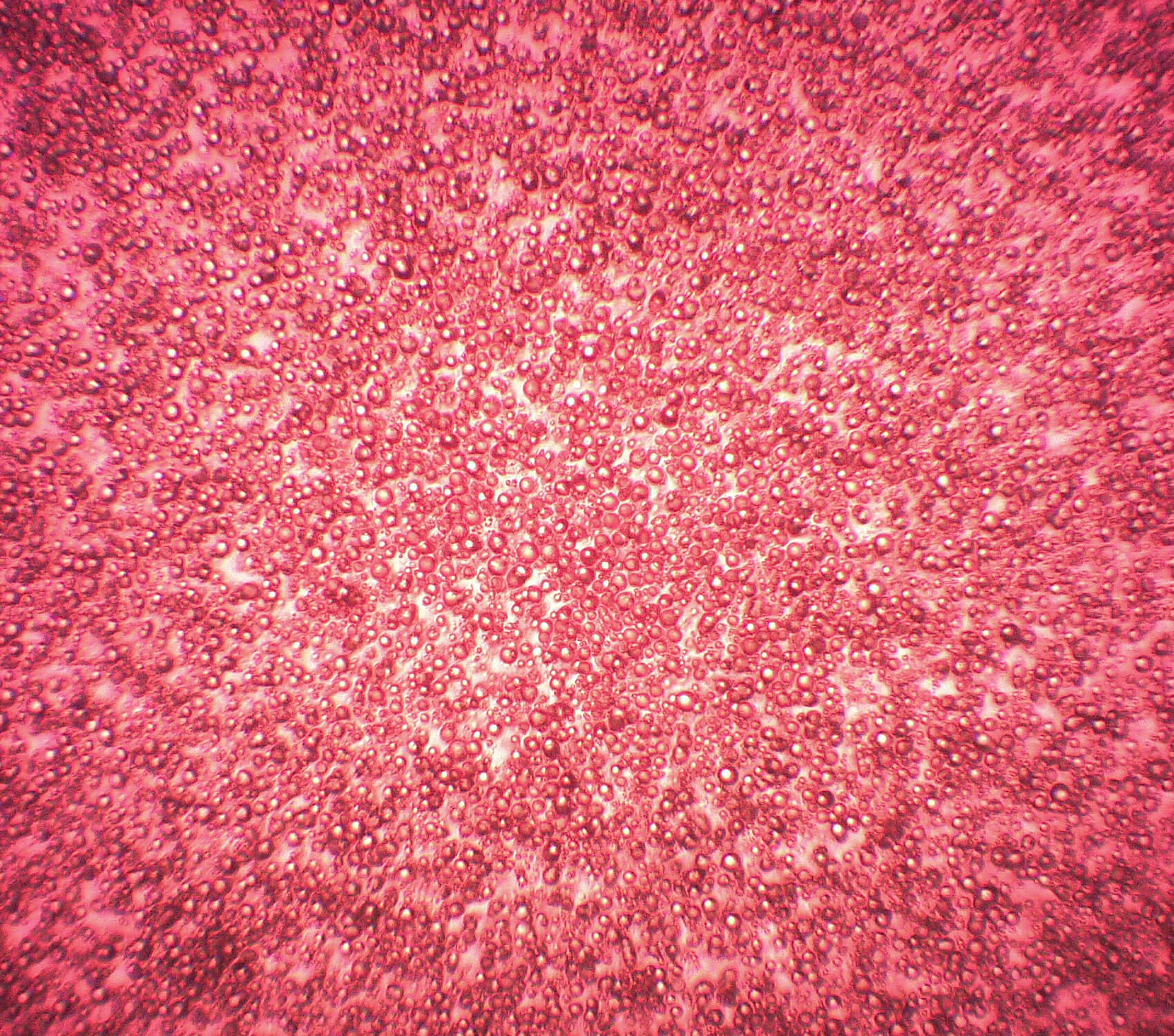 Scale-up Microencapsulated Ink Thermochromic Liquid Crystals