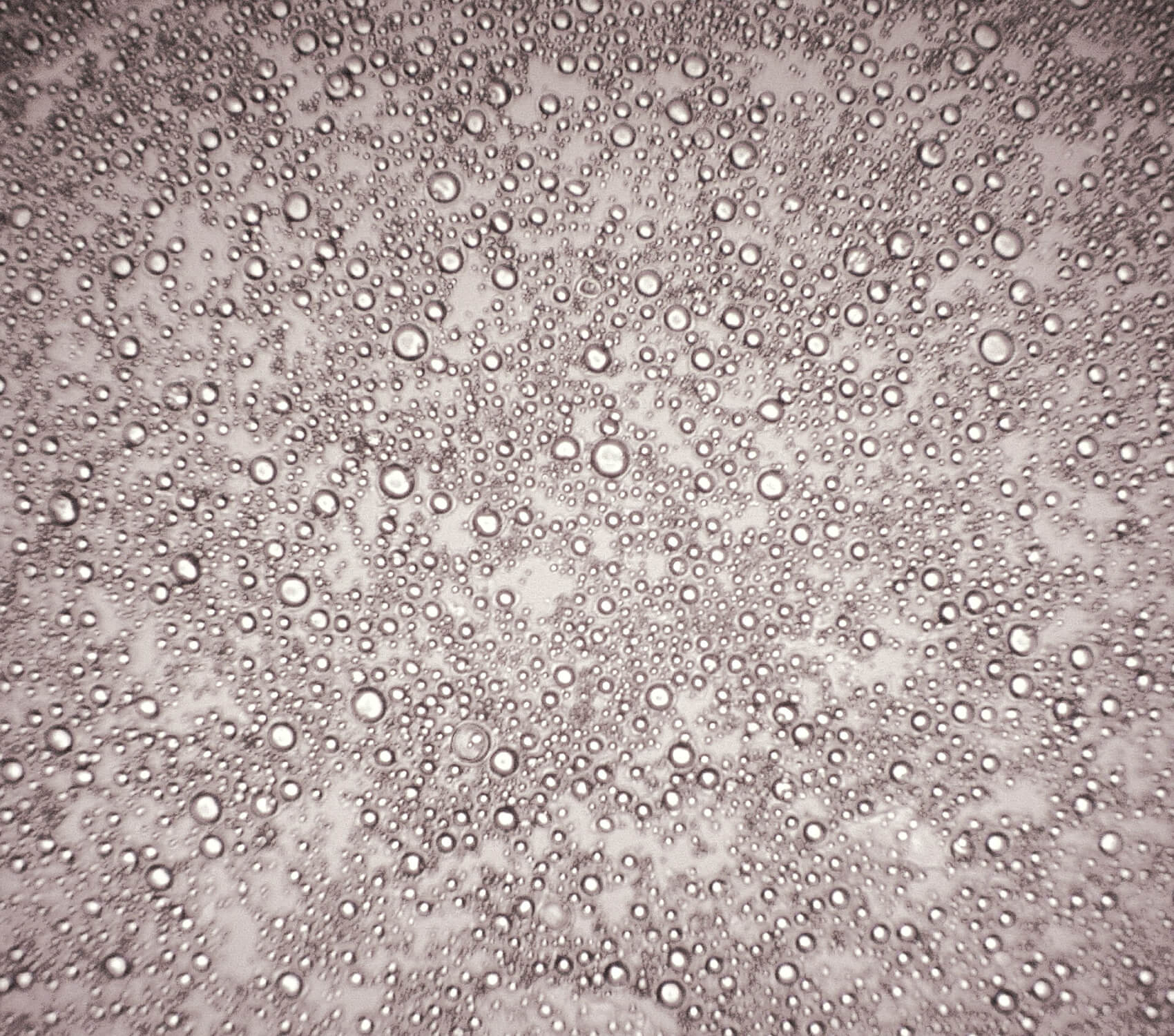 Scale-up Microcapsules in aqueous slurry suspension