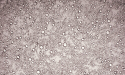 Microcapsule in Slurry